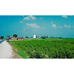 The mausoleum of Pīr Ḥasan Kabīr ad-Dīn